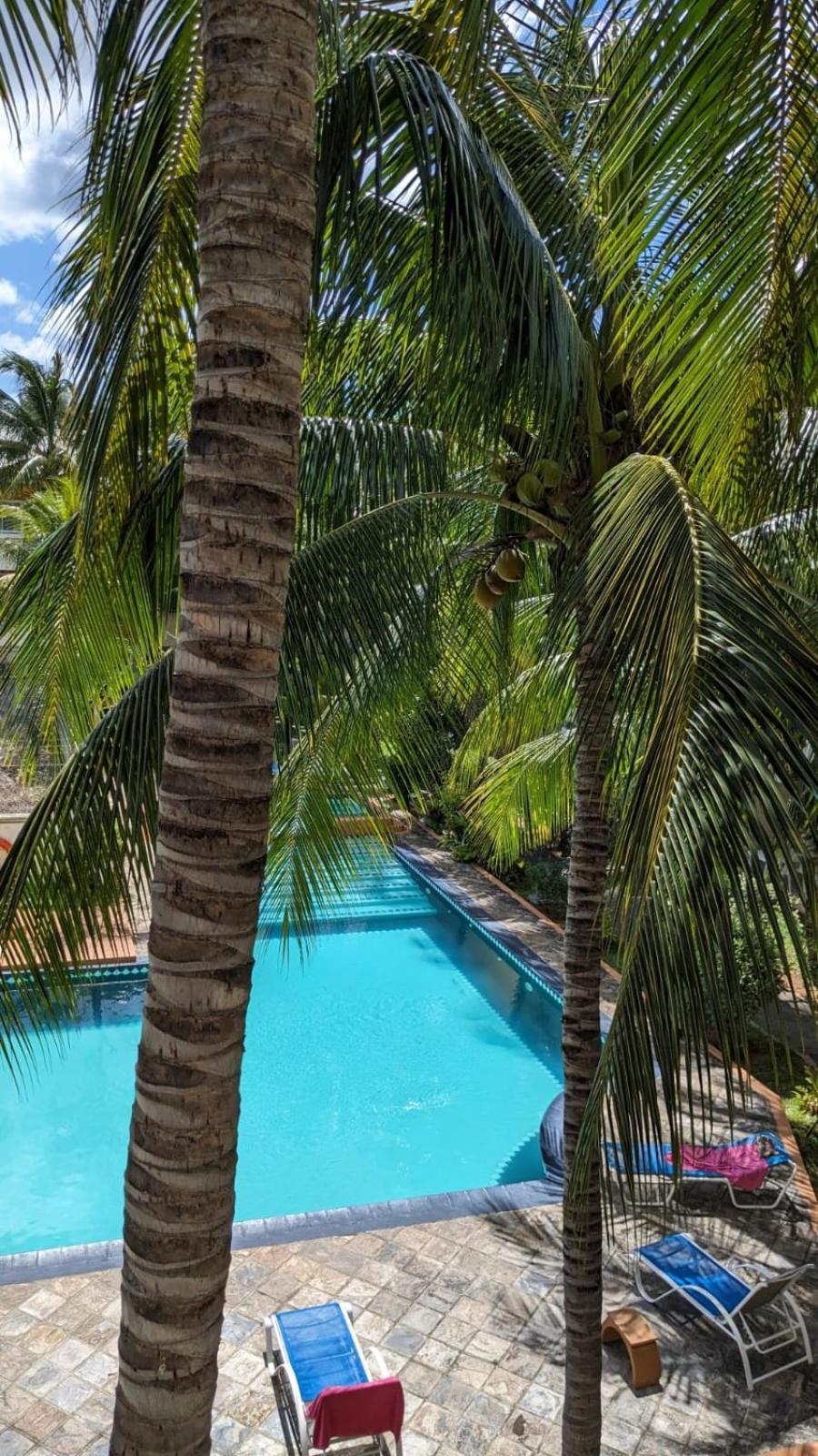 Charming Apartment Close To Beach & Amenities - Appartement De Charme Proche Plage Flic en Flac ภายนอก รูปภาพ