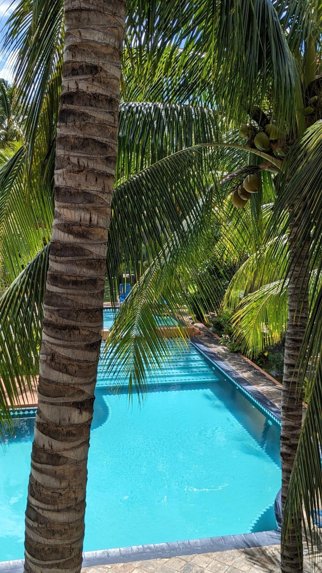 Charming Apartment Close To Beach & Amenities - Appartement De Charme Proche Plage Flic en Flac ภายนอก รูปภาพ